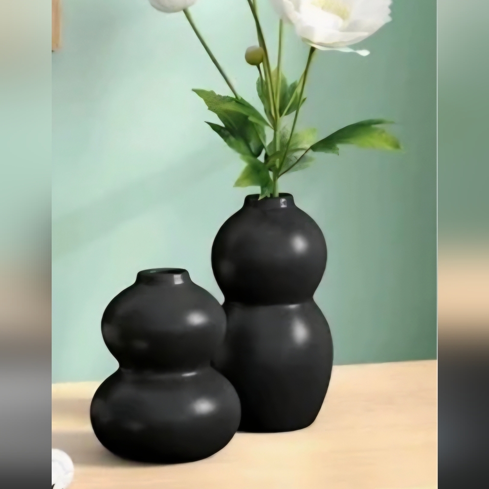 Home Essentials Black Curved Vase Duo SMOKE FREE HOME 🌼